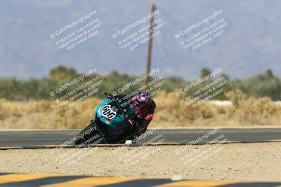media/Jan-13-2024-SoCal Trackdays (Sat) [[9c032fe5aa]]/Turn 16 Set 1 (11am)/